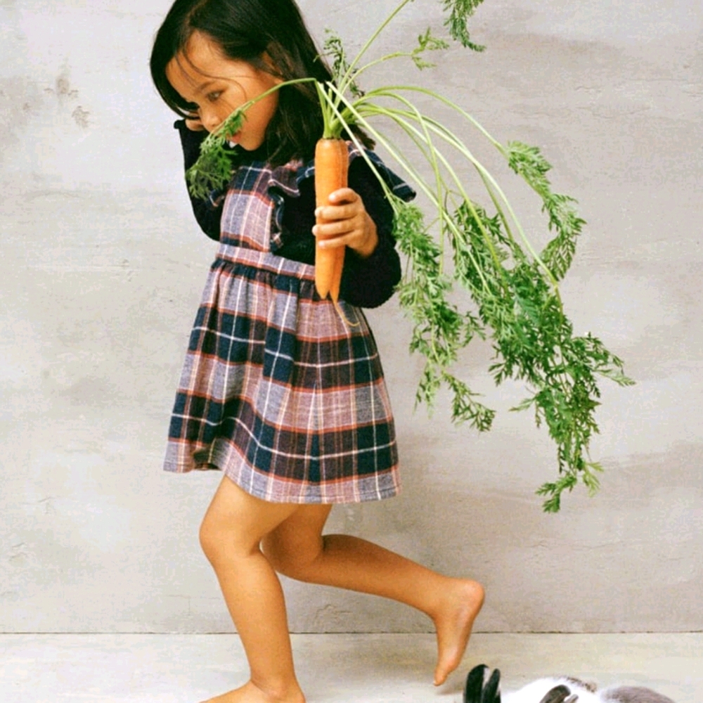 Ruffled Plaid Pinafore Zara Dress
